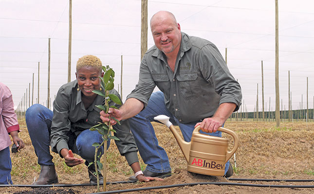 How a Mexican beer and limes helped uplift a community in SA