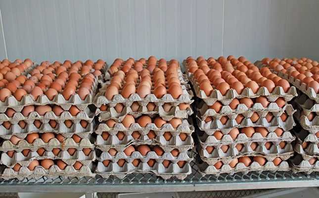 The future of SA’s egg producers