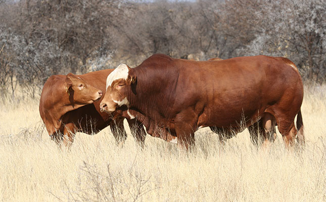 Cost of farming escalates for producers in Namibia