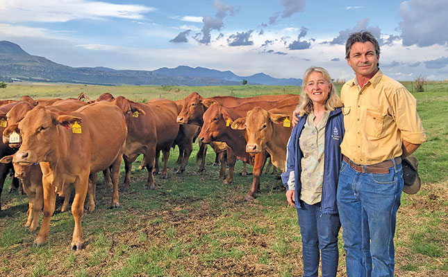 On the fast track to top genetics with no-fuss Droughtmasters On the fast track to top genetics with no-fuss Droughtmasters