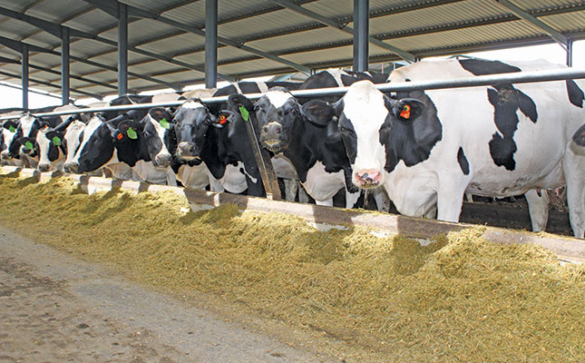 Higher milk production, lower carbon footprint