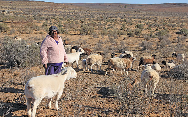 Sheep farmer creates her own work and success