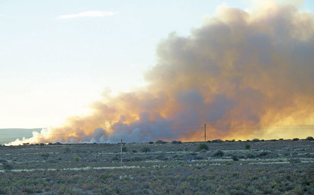 Preventing and fighting veld fires Preventing and fighting veld fires