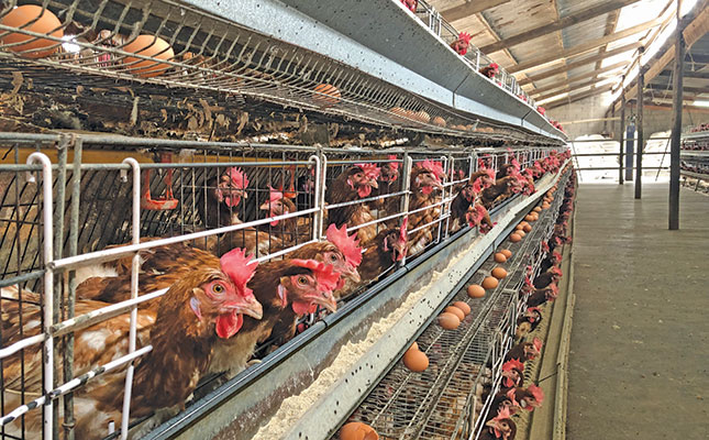 Poultry industry in for a rough ride in 2022