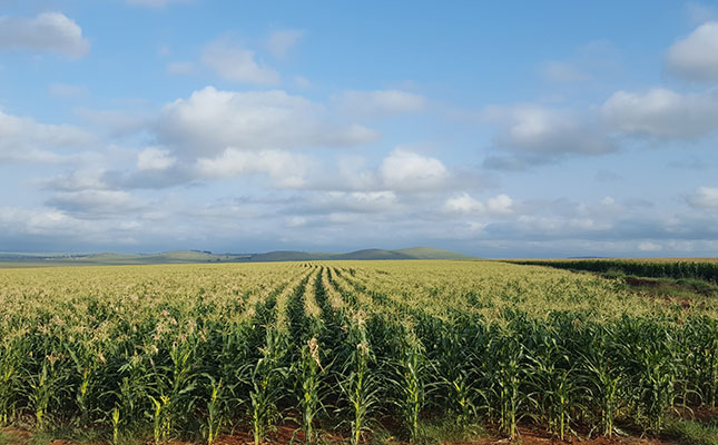 New board of directors for Land Bank