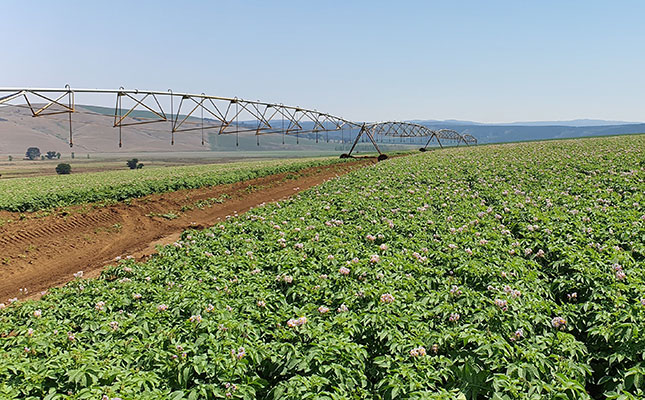 Potato farmers set to benefit from mobile data sharing app Potato farmers set to benefit from mobile data sharing app