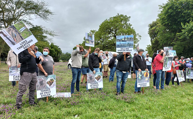 Accused in Paarl fruit theft murder case released on bail Accused in Paarl fruit theft murder case released on bail