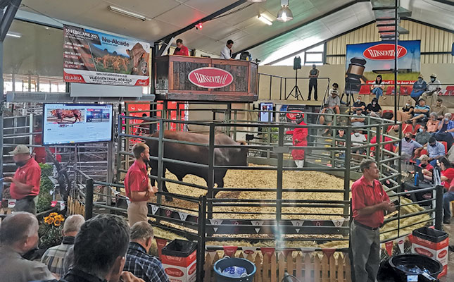 Tips for getting the most out of livestock auctions