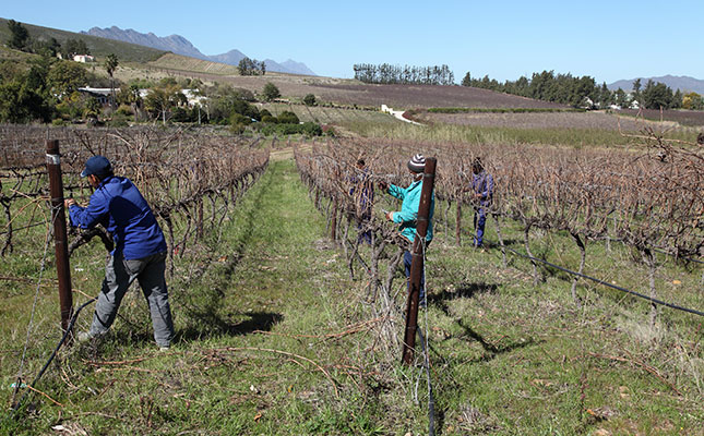 ‘Vinpro liquor ban challenge ruling a blow to the industry’