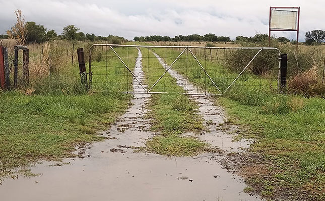 Damage reported to summer crops after heavy rainfall