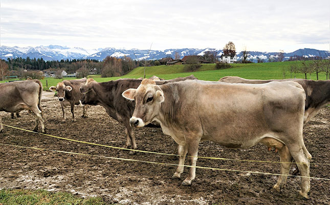 New EU rules will help farmers prevent costly disease outbreaks New EU rules will help farmers prevent costly disease outbreaks