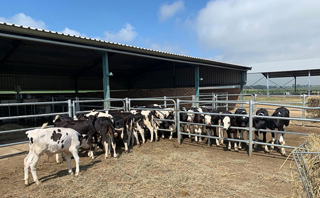 Vrede dairy project finally handed over to beneficiaries