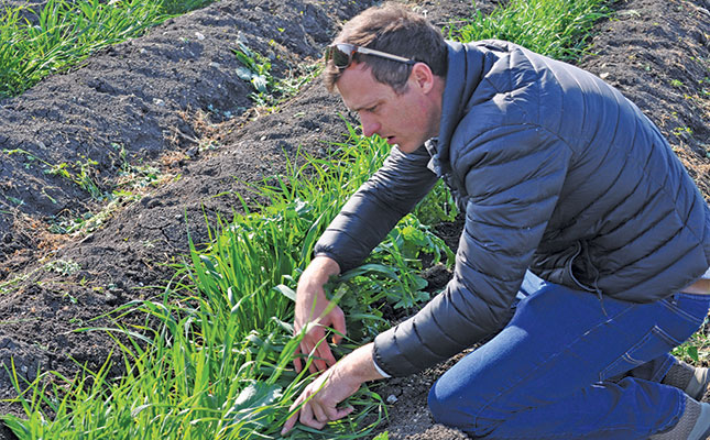 Regenerative agriculture: “We learn from pioneers and our own mistakes”