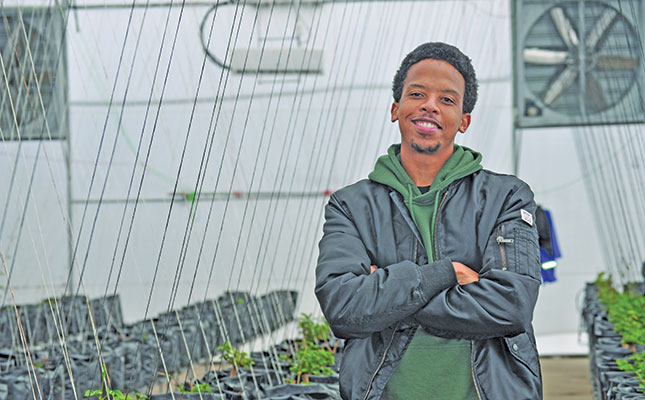 A rooftop hops farm in the city