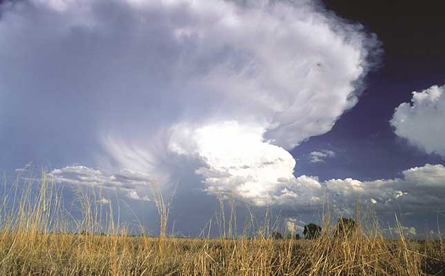 Disaster classification brings hope for flood-stricken farmers Disaster classification brings hope for flood-stricken farmers