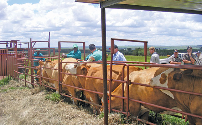SA Veterinary Council committed to change SA Veterinary Council committed to change