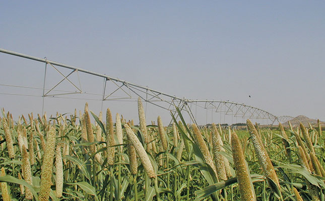 Pasture varieties and their potential in SA Pasture varieties and their potential in SA