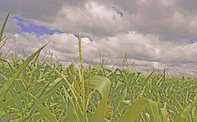 More calls for government intervention following heavy rainfall