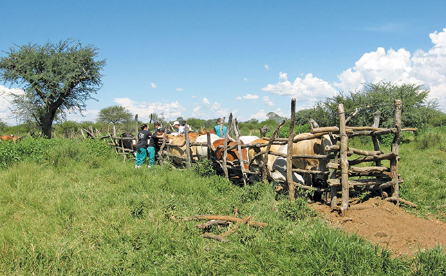 SA’s dire animal health situation is a constraint on livestock production SA’s dire animal health situation is a constraint on livestock production