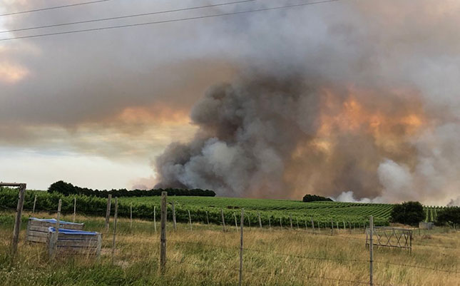 Thousands of hectares destroyed in Kleinmond wildfire