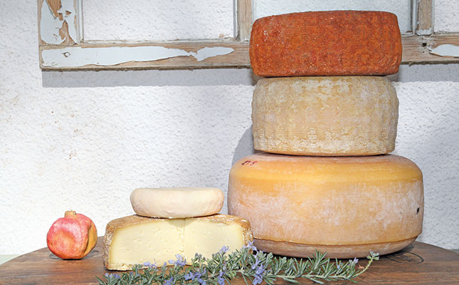 Karoo sheep farm survives drought with beer and cheese Karoo sheep farm survives drought with beer and cheese