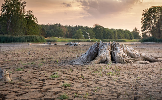 Billions in farming insurance pay-outs weigh on US taxpayers