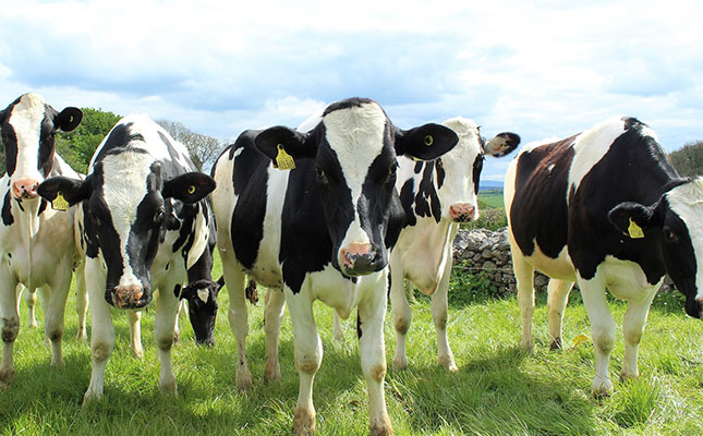 Plant-based ‘dairy’ fails to convert Australian milk-drinkers