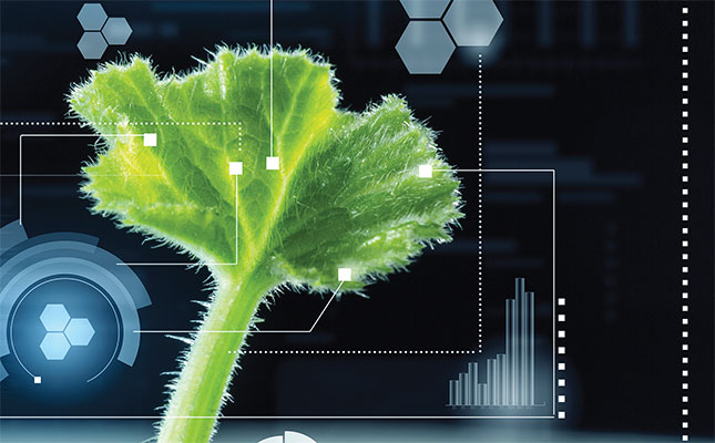 How Israeli Agritech can add value to South African farmers How Israeli Agritech can add value to South African farmers