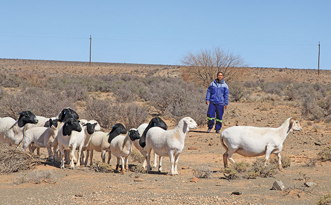 Farming successfully on communal land