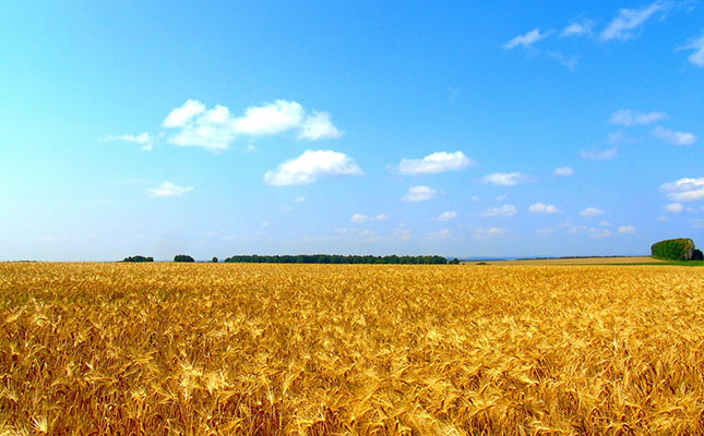 ‘Rising Russia-Ukraine tension could affect SA wheat price’ ‘Rising Russia-Ukraine tension could affect SA wheat price’