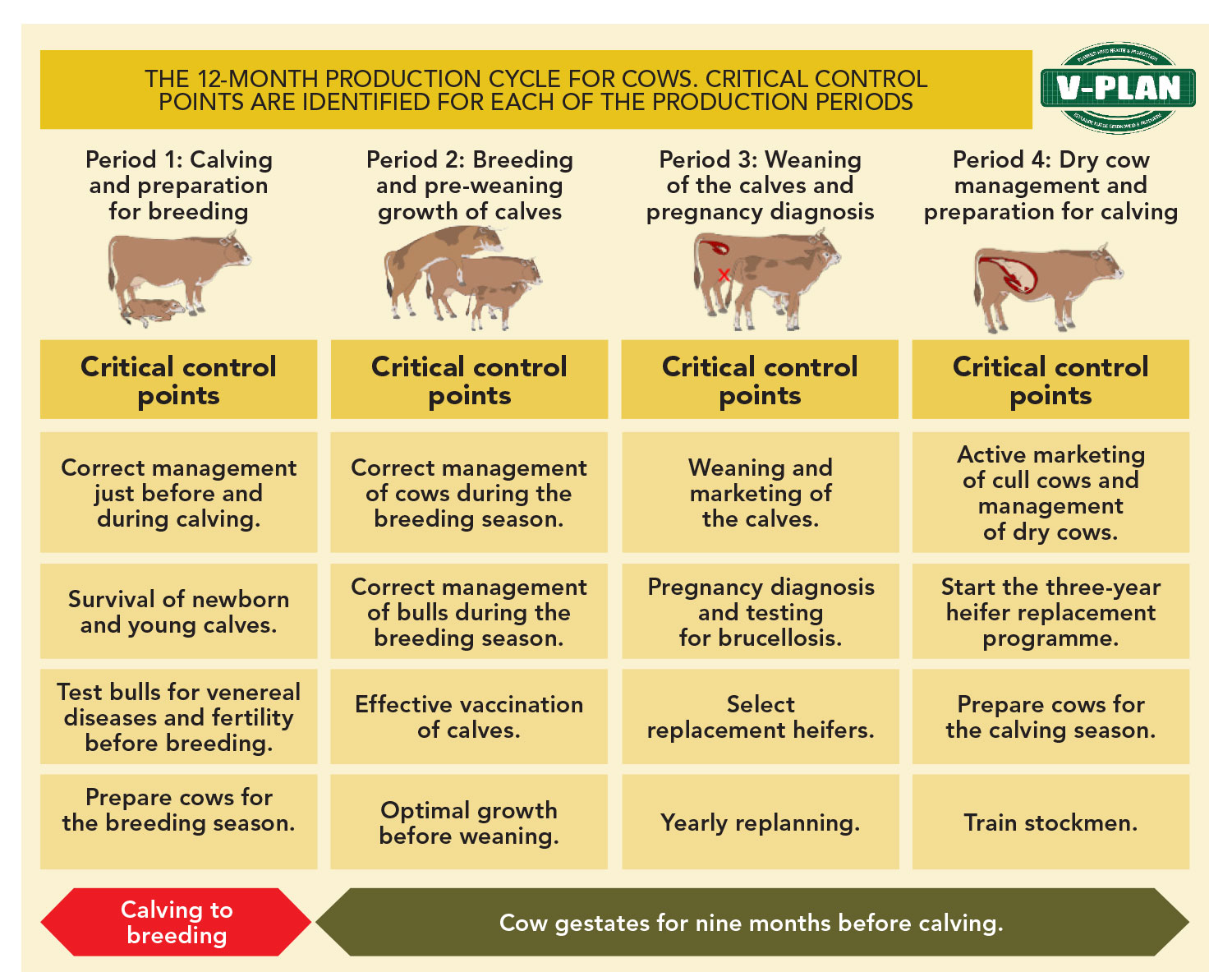 A herd health and production management plan