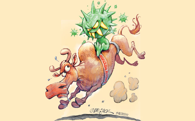The huge risks posed by antimicrobial resistance The huge risks posed by antimicrobial resistance