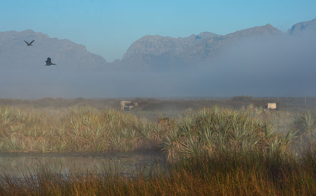 World Wetlands Day: SA farmers praised for wetland conservation