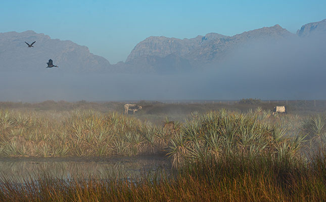 World Wetlands Day: SA farmers praised for wetland conservation World Wetlands Day: SA farmers praised for wetland conservation