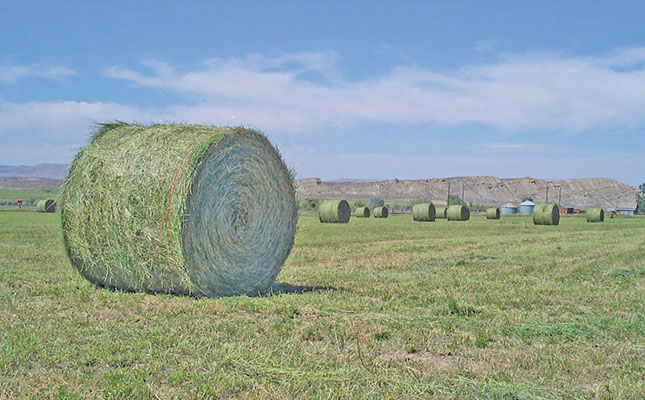 Lucerne hay grading: Making SA producers globally competitive Lucerne hay grading: Making SA producers globally competitive