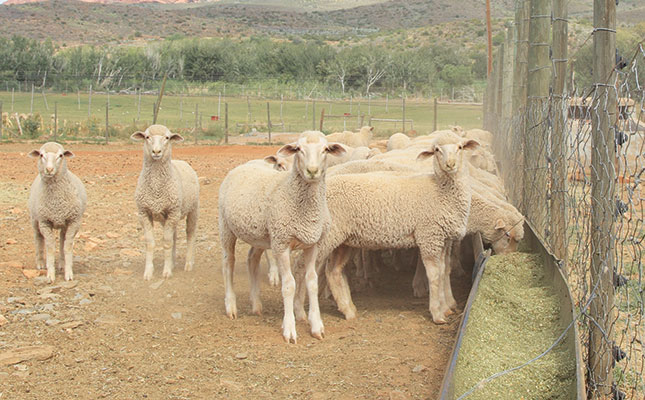 A herd health and production management plan A herd health and production management plan