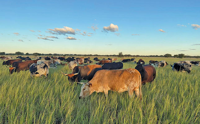 Regenerative grazing: realising maximum sustainable profit/ha