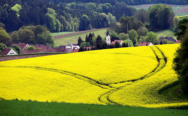 ‘Plant biofuels no silver bullet for carbon sequestration’ ‘Plant biofuels no silver bullet for carbon sequestration’
