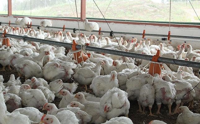 Poultry industry winning battle against unfair trade