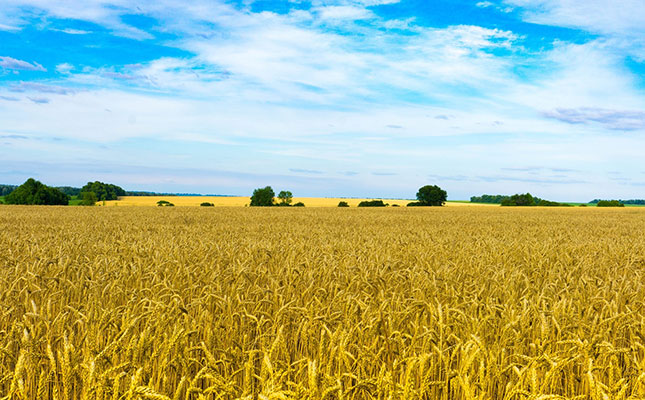Russia-Ukraine conflict threatens SA fruit exports Russia-Ukraine conflict threatens SA fruit exports