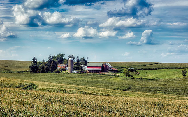 Rally in grain prices could boost incomes for US farmers Rally in grain prices could boost incomes for US farmers