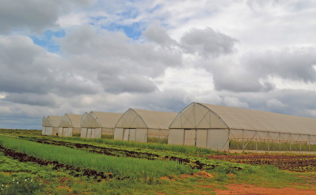 Award-winning veggie farmer on why she left the boardroom to take up farming