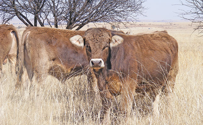 Assessing veld condition Assessing veld condition
