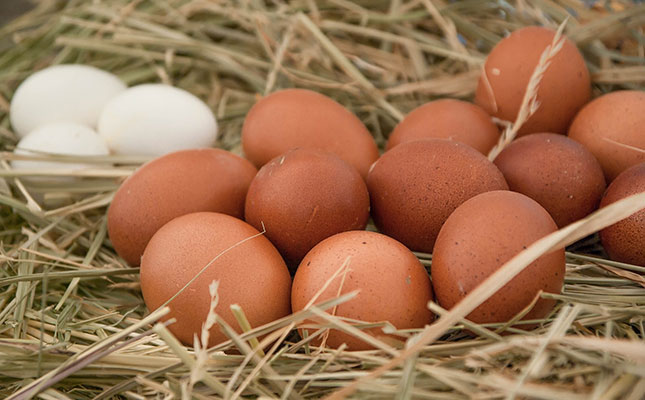 Australian consumers’ demand for free-range eggs faltering