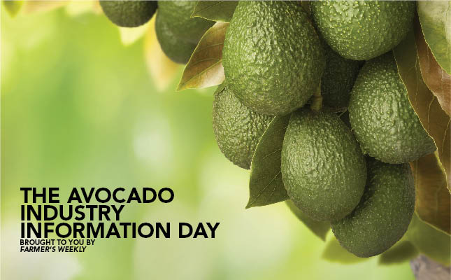 The Avocado Industry Information Day