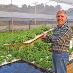 Colin Bremner, co-owner of Kleinskuur Aquaponics, has designed an aquaponics system that he believes is both affordable and efficient.