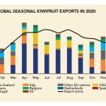 Graph 1: Global seasonal kiwifruit exports IN 2020