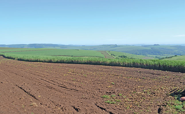 Rum brings rewards for KZN cane producer