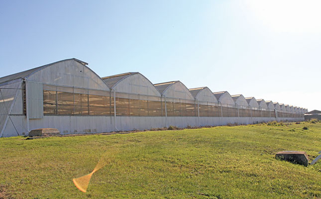 Why humidity is crucial in climate control Why humidity is crucial in climate control
