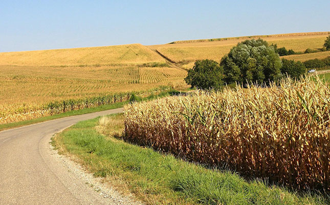 Fears about crop yields in France as drought persists